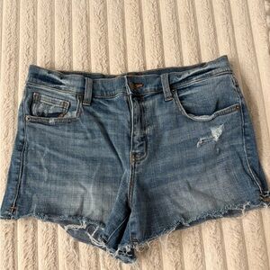 Pistola Women’s Denim Shorts Size 29